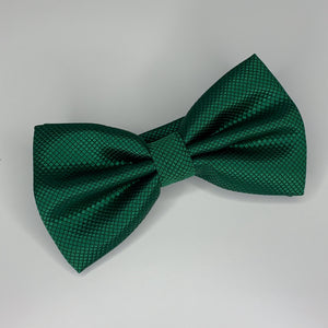 Green Bow Tie